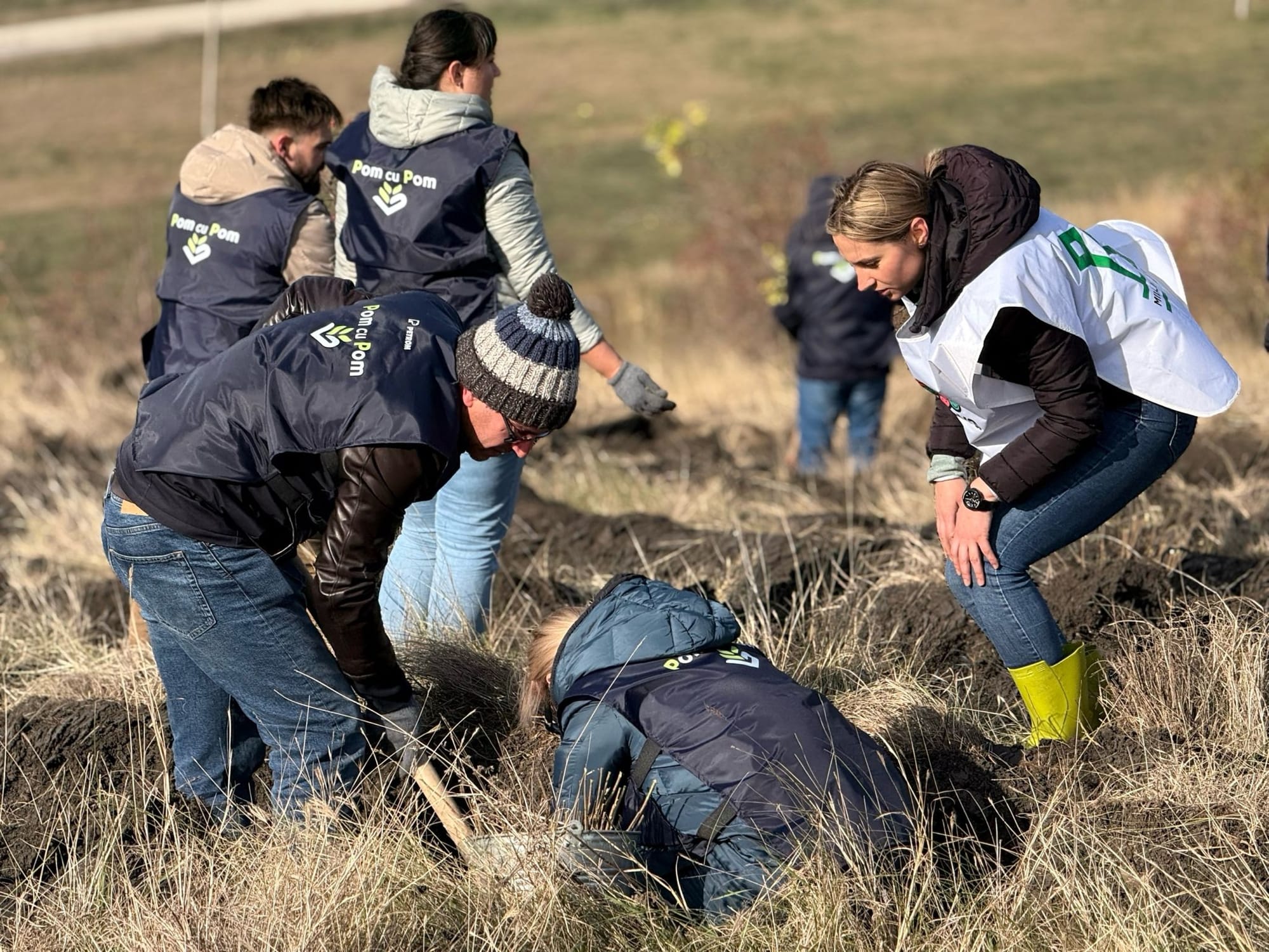 Petrom Moldova уже высадила 20 тысяч деревьев в рамках своей экологической инициативы